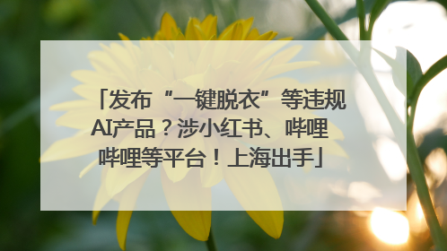 发布“一键脱衣”等违规AI产品？涉小红书、哔哩哔哩等平台！上海出手